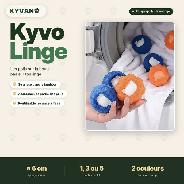 Hygiène & maison