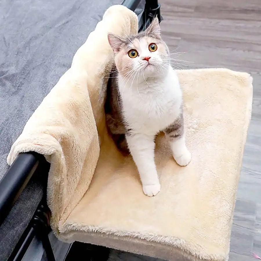 Chat dans le hamac KyvoRadia crème