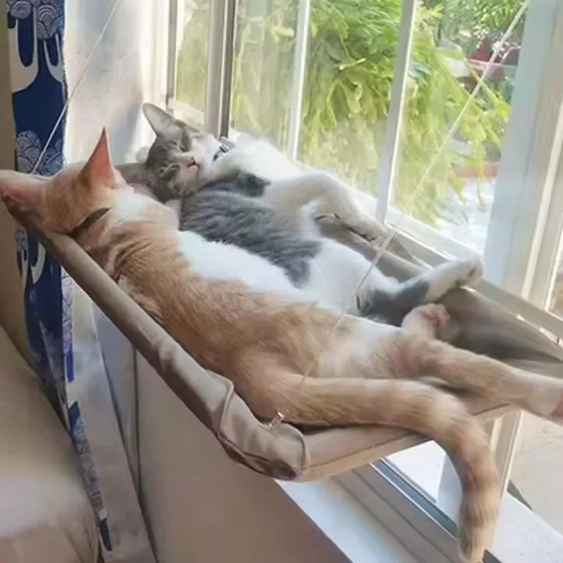 Hamac de fenêtre pour chat KyvoVue à ventouses, deux chats au soleil