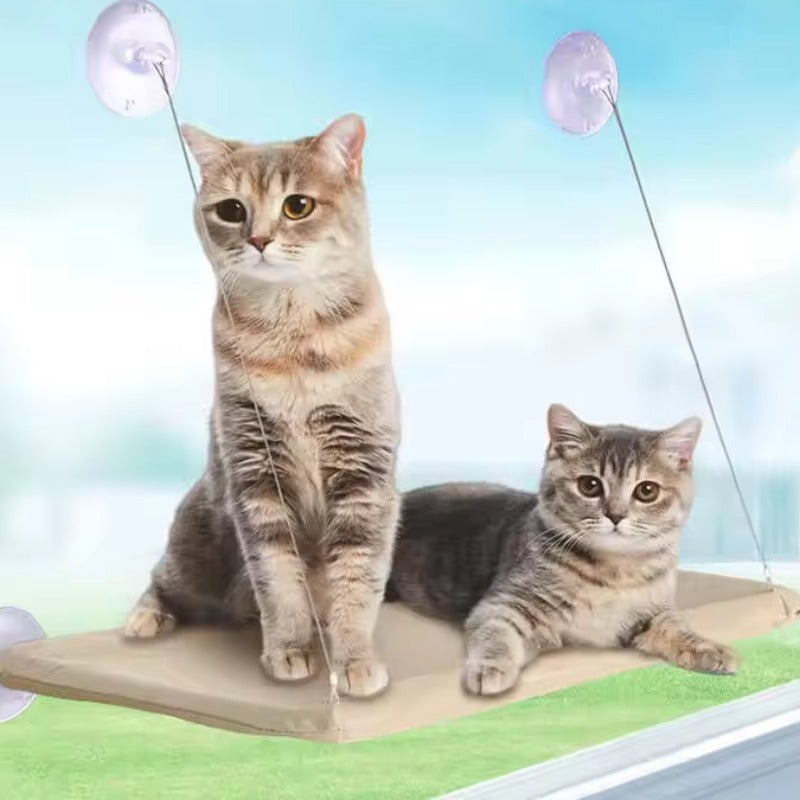 Deux chats ensemble sur le hamac de fenêtre KyvoVue