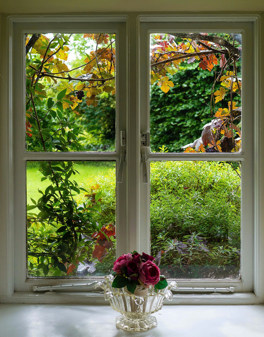 Fenêtre propre donnant sur un jardin