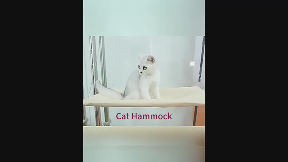 Vidéo : un chat se prélasse dans le hamac de fenêtre KyvoVue